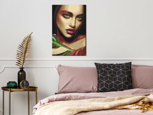 Картина по номерам Indian Beauty 40х60 см. цена и информация | Живопись по номерам | pigu.lt