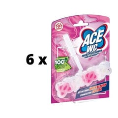 WC tualeto gaiviklis-valiklis ACE, Eucalyptus Flower, 48 g x 6 vnt. pakuotė kaina ir informacija | Valikliai | pigu.lt
