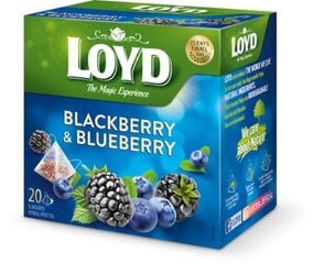 Лойд фруктовый чай со вкусом клюквы и черники, 20 шт. цена и информация | Чай | pigu.lt