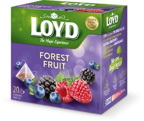 Loyd vaisinė arbata miško uogų skonio, 20 vnt. kaina ir informacija | Arbata | pigu.lt