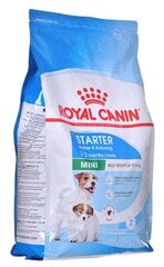 Royal Canin для беременных и кормящих сук Mini Starter Mother&Babydog, 4 кг цена и информация |  Сухой корм для собак | pigu.lt
