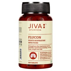 Maisto papildas Flucon, Jiva Ayurveda, 120 tablečių цена и информация | Витамины, пищевые добавки, препараты для хорошего самочувствия | pigu.lt