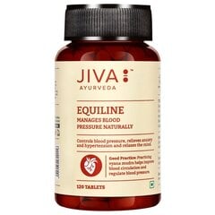 Maisto papildas Equiline, Jiva Ayurveda, 120 tablečių kaina ir informacija | Vitaminai, maisto papildai, preparatai gerai savijautai | pigu.lt