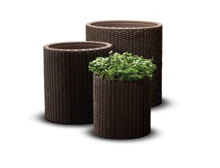 Набор цветочных горшков Cylinder Planters S+M+L, коричневый цена и информация | Вазоны | pigu.lt