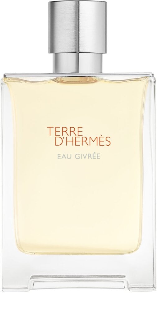 Kvapusis vanduo Hermes Terre D'Hermes Eau Givree EDP vyrams 100 ml kaina ir informacija | Kvepalai vyrams | pigu.lt