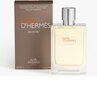 Kvapusis vanduo Hermes Terre D'Hermes Eau Givree EDP vyrams 100 ml kaina ir informacija | Kvepalai vyrams | pigu.lt