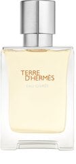 Парфюмерная вода Hermes Terre D'Hermes Eau Givree EDP для мужчин 50 мл цена и информация | Мужские духи | pigu.lt