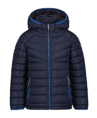 Icepeak striukė vaikams 200g Kamiah 50013-2*390 kaina ir informacija | Striukės berniukams | pigu.lt