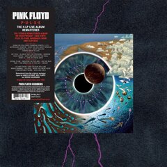 Vinilinė plokštelė 4LP PINK FLOYD Pulse (Remastered) kaina ir informacija | Vinilinės plokštelės, CD, DVD | pigu.lt