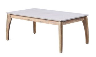 Кофейный столик, коричневый/серый цвет цена и информация | Садовые столы, столики | pigu.lt