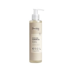 Очищающий гель для лица Derma Eco Refresing Cleansing Gel, 200 мл цена и информация | Средства для очищения лица | pigu.lt