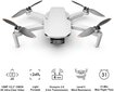 DJI Mini 2 Fly More Combo DJI Care Bundle kaina ir informacija | Dronai | pigu.lt