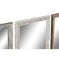Sieninis veidrodis DKD Home Decor Stiklas Natūralus Pilka Ruda Balta PS 4 vnt. Augalo lapas (36 x 2 x 95,5 cm) kaina ir informacija | Veidrodžiai | pigu.lt