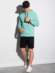 Джемпер для мужчин Leko, зеленый цвет цена и информация | Мужские свитера | pigu.lt