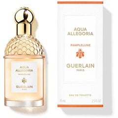 Tualetinis vanduo Guerlain Aqua Allegoria Pamplelune EDT moterims, 75 ml kaina ir informacija | Kvepalai moterims | pigu.lt