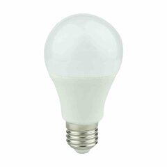 LED lemputė Eko-light, E27, 820 lm, 3000 K, 1 vnt. kaina ir informacija | Elektros lemputės | pigu.lt