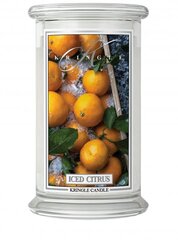 Свеча Kringle Candle Iced Citrus, 623 г цена и информация | Подсвечники, свечи | pigu.lt