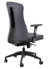 Офисное кресло Stema Kenton, серое цена и информация | Офисные кресла | pigu.lt
