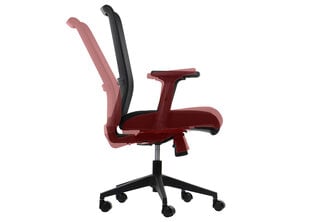 Офисное кресло Stema Riverton, черный цвет цена и информация | Офисные кресла | pigu.lt