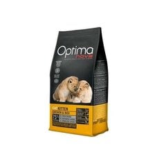 Optima nova Cat Kitten sausas pašaras kačiukams iki 1 metų, 8kg цена и информация | Сухой корм для кошек | pigu.lt