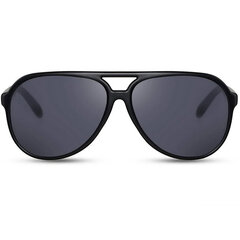 Солнцезащитные очки для мужчин Label L1533 цена и информация | Солнцезащитные очки для мужчин | pigu.lt