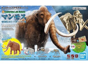 Plastikinis surenkamas modelis Bandai Exploring Lab Nature Mammoth, 62179 kaina ir informacija | Konstruktoriai ir kaladėlės | pigu.lt