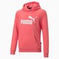 Puma vaikiškas megztinis Essentials Logo Youth 587031*58, lõheroosa kaina ir informacija | Megztiniai, bluzonai, švarkai mergaitėms | pigu.lt