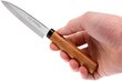 Japoniško plieno peilis su dėklu DG-3002D kaina ir informacija | Peiliai ir jų priedai | pigu.lt