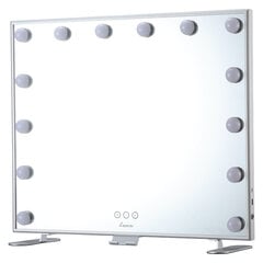 Pastatomas/pakabinamas veidrodis su apšvietimu, didelis BEOSOML607MR kaina ir informacija | Veidrodžiai | pigu.lt