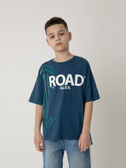 Футболка синяя с принтом для мальчиков Gulliver цена и информация | Рубашки для мальчиков | pigu.lt