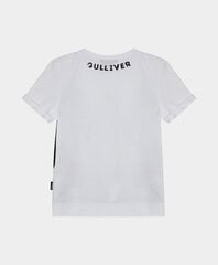 Футболка для мальчиков Gulliver, с длинным рукавом и принтом цена и информация | Рубашка для мальчиков | pigu.lt