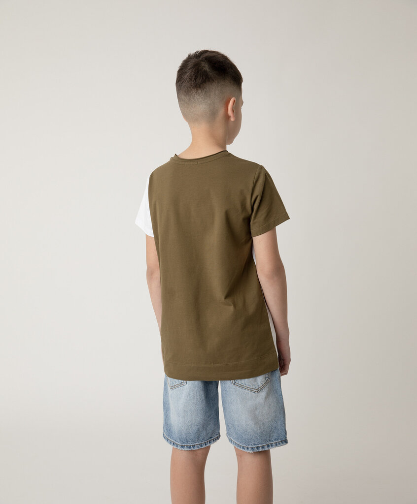 Marškinėliai berniukams Gulliver, įvairių spalvų kaina ir informacija | Marškinėliai berniukams | pigu.lt