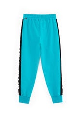 Синие брюки для мальчиков Gulliver цена и информация | Спортивные штаны для мальчиков | pigu.lt