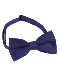 Синий галстук-бабочка, 11-15 лет для мальчиков Gulliver цена и информация | Аксессуары для детей  | pigu.lt