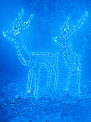 Mėlynos spalvos elnias su automatiškai sukiojama galva, aukštis 118 cm. kaina ir informacija | Kalėdinės dekoracijos | pigu.lt
