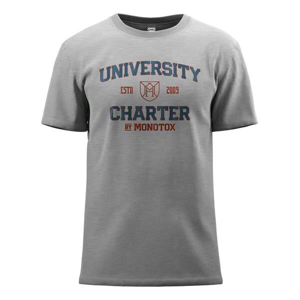 Marškinėliai vyrams Monotox University MX22057, pilki kaina ir informacija | Vyriški marškinėliai | pigu.lt