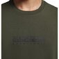Marškinėliai vyrams Napapijri NP0A4GDRGE4, žali kaina ir informacija | Vyriški marškinėliai | pigu.lt