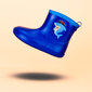 BEPPI guminiai, lietaus batai berniukams 2186350 цена и информация | Guminiai batai vaikams | pigu.lt