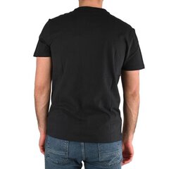 T-SHIRT NAPAPIJRI E-ICE SS 1 NP0A4GWI176 цена и информация | Мужские футболки | pigu.lt