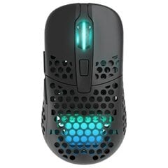 Универсальная компьютерная мышь Xtrfy M42 Wireless RGB, черный  цена и информация | Мыши | pigu.lt