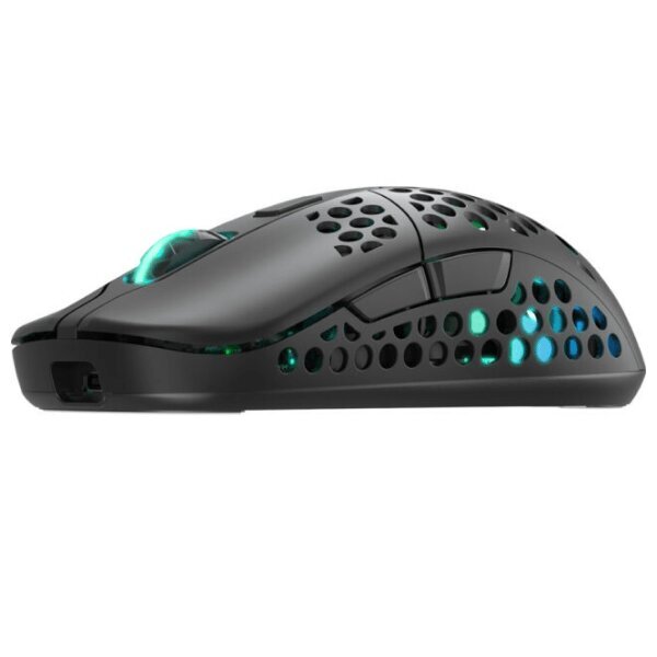 Xtrfy M42 Wireless RGB, Black kaina ir informacija | Pelės | pigu.lt