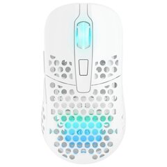 Xtrfy M42 Wireless RGB, белый цена и информация | Мыши | pigu.lt