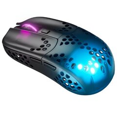 Компьютерная мышь Xtrfy MZ1 Wireless, черный  цена и информация | Мыши | pigu.lt