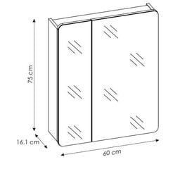 Vonios kambario veidrodis-spintelė ARUBA, 60 x 75 x 16 cm kaina ir informacija | Vonios spintelės | pigu.lt