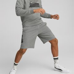 Мужские шорты Puma Power Logo 849795*03, серые цена и информация | Мужские шорты | pigu.lt