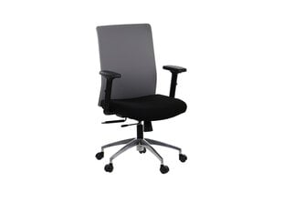 Biuro kėdė Stema Riverton F/L/AL, juoda/pilka kaina ir informacija | Biuro kėdės | pigu.lt