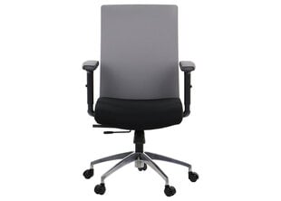 Biuro kėdė Stema Riverton F/L/AL, juoda/pilka цена и информация | Офисные кресла | pigu.lt