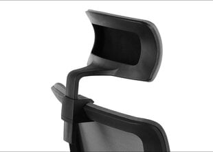 Офисное кресло Stema Riverton M/H, черный цвет цена и информация | Офисные кресла | pigu.lt