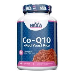 Maisto papildas Haya Labs Co-Q10 60 kaps. kaina ir informacija | Vitaminai | pigu.lt