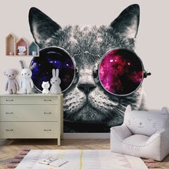 Фототапец - Кот в очках цена и информация | Фотообои | pigu.lt